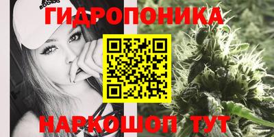 первитин Заводоуковск