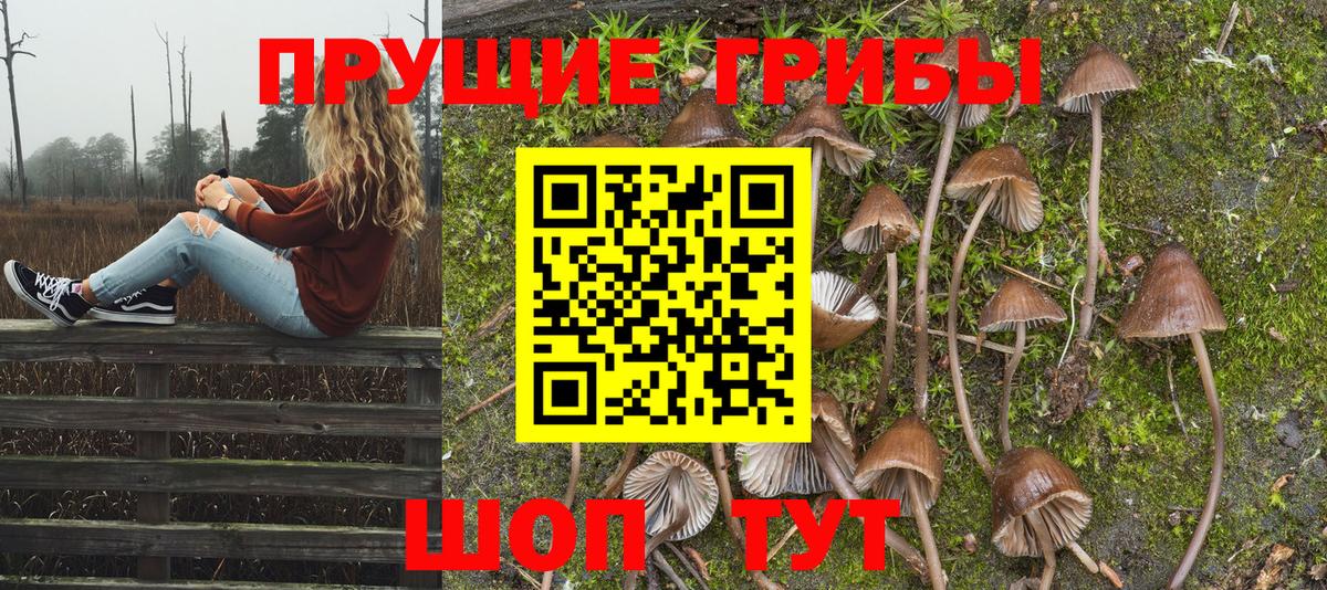 Галлюциногенные грибы Psilocybe  Вход с VPN  Ликино-Дулёво 